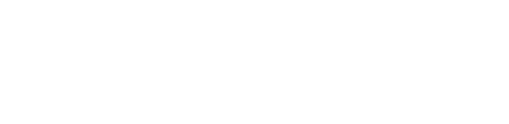 Blue Pilot Agency